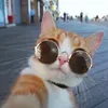 Avatar solar