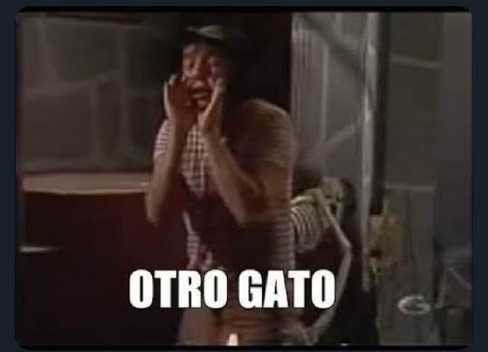 Imagen del comentario